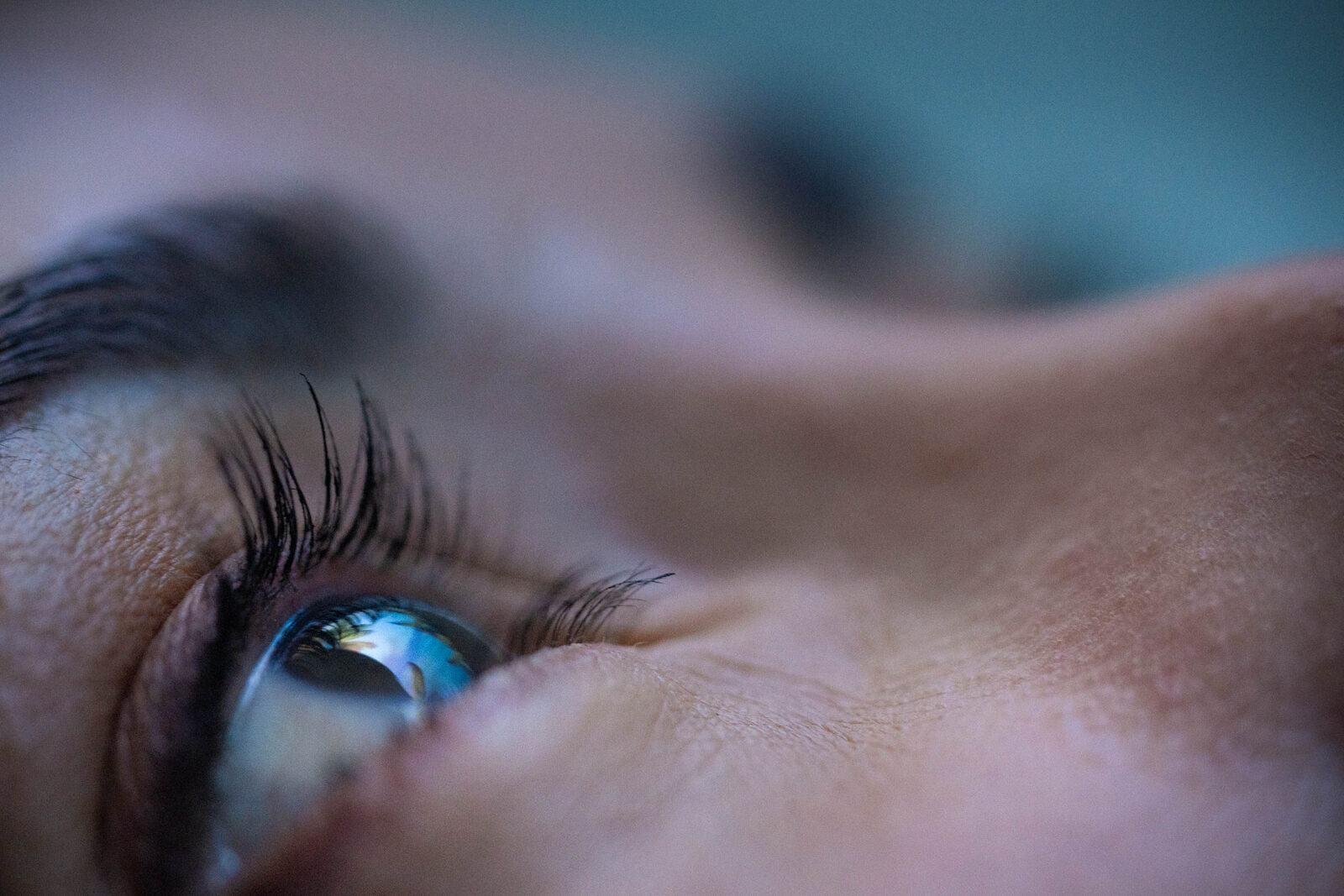 Macro detail, Regenesis